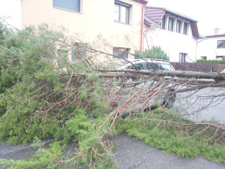 Na snÃƒÂ­mke spadnutÃƒÂ½ strom na osobnom aute.