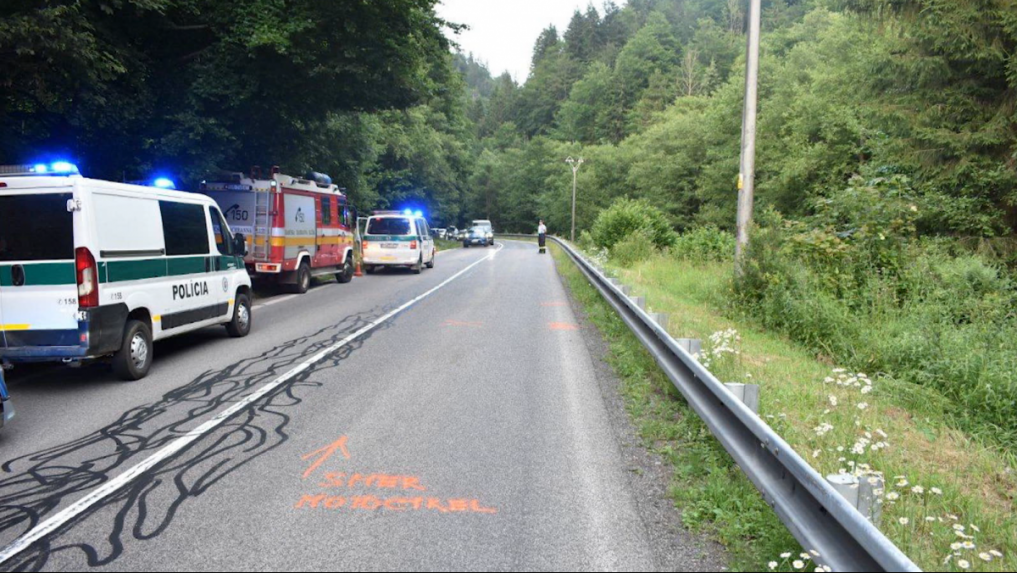 Zranenú medvedicu, s ktorou sa na Horehroní zrazil motorkár, vypátrali a odstrelili. Mala aj mláďatá