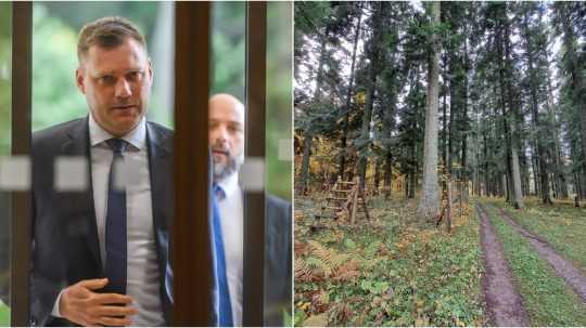 Podľa ministra Tarabu kvalita lesov na Slovensku klesá.