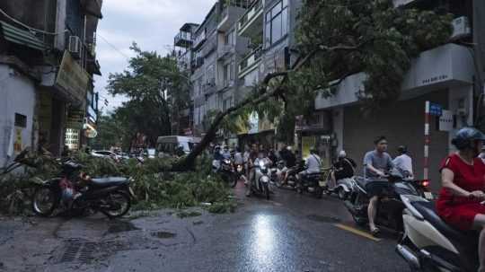 Spadnuté stromy v hlavnom meste Vietnamu Hanoj.