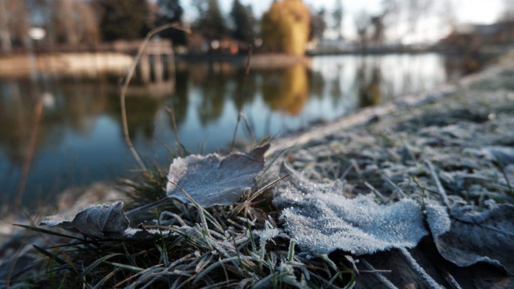 Na väčšine Slovenska treba počítať s prízemným mrazom, výstrahy platia pre viaceré okresy