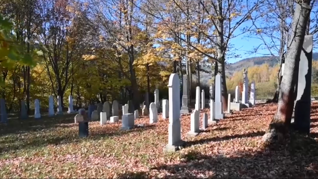 Z dvora v Jarovciach porota nevedela odísť, cintorín v Starej Bystrici ich dojal. Ocenili najkrajšie parky a záhrady