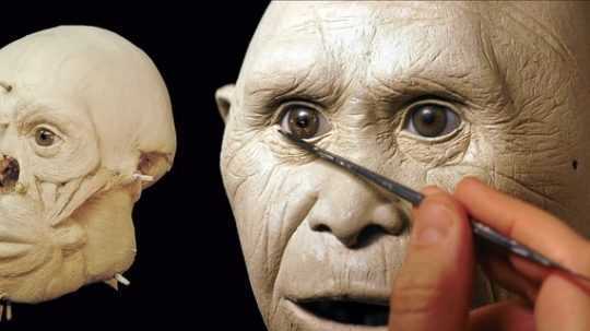 Homo floresiensis model