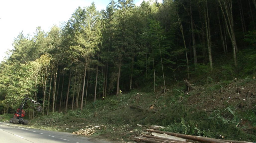 Mimoriadny výrub stromov na Donovaloch spôsobil dopravné obmedzenia, trvať budú do konca roka