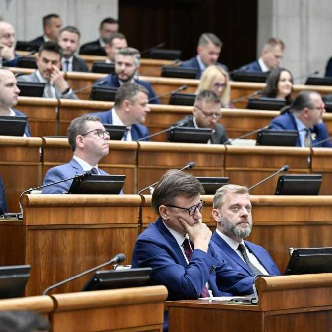 Politickým stranám v minulom roku rekordne narástli súkromné zdroje financovania, poukázala analýza