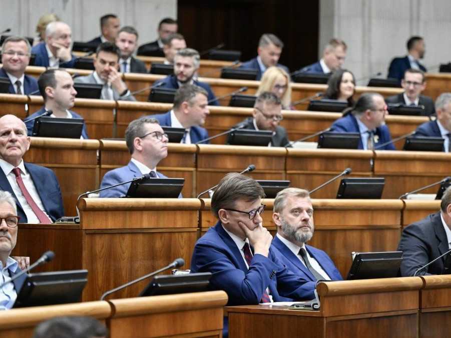 Politickým stranám v minulom roku rekordne narástli súkromné zdroje financovania, poukázala analýza