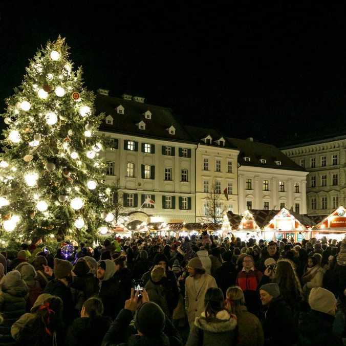 Bratislava sa pripravuje na vianočné trhy: Na Hlavné námestie privezú 12-metrovú jedľu