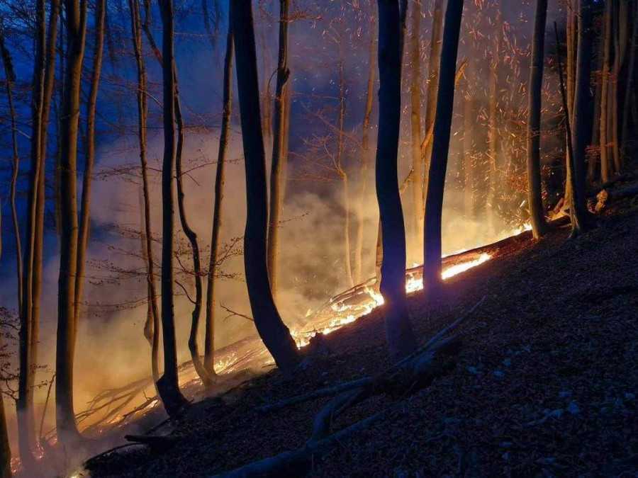 V lese vo Valaskej Belej vypukol požiar suchého lístia