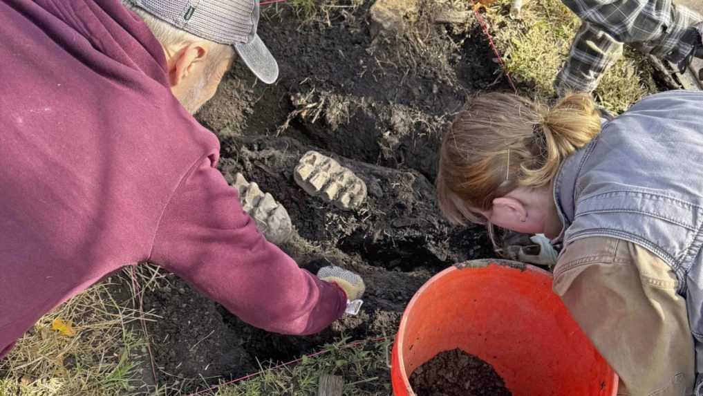 Spočiatku si myslel, že našiel bejzbalové loptičky. Muž pri práci na záhrade narazil na kosti z mastodonta