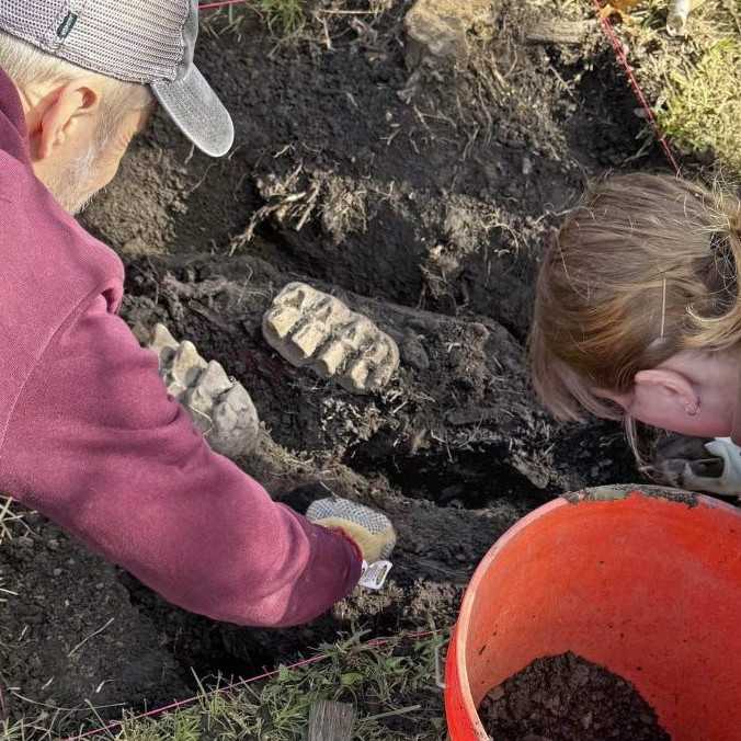 Spočiatku si myslel, že našiel bejzbalové loptičky. Muž pri práci na záhrade narazil na kosti z mastodonta