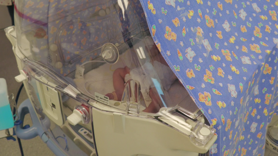 Na snímke novorodenec v inkubátore.