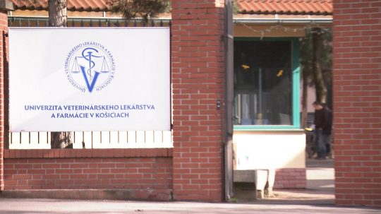 Univerzita veternárskeho lekárstva a farmácie v Košiciach.