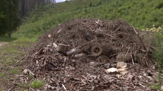 Lykožrútová kalamita na Muránskej planine postupuje rýchlejšie ako sa predpokladalo, tvrdí ministerstvo